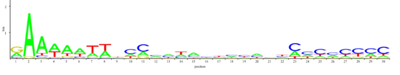 Figure 3: LOGO visualisation of JASPAR matrix MA0068. The height of the stack of letter in each column gives the information content in bits of that column