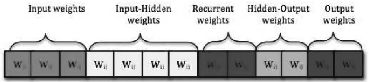 Figure 3.  The Chromosome Structure. This gene encodes a recurrent neural network  weights, it has five regions, which present each one the interconnections between the  four layers of the network