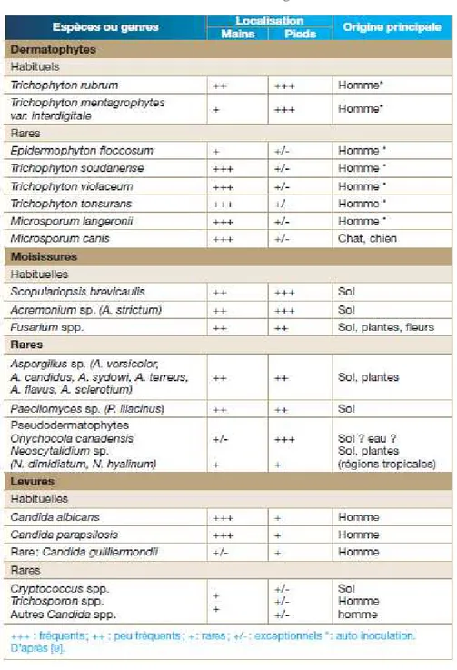 Tableau IV : Principales espèces fongiques isolées d’un ongle pathologique  Selon la localisation et l’origine (102) 