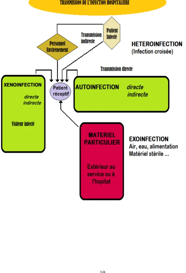 Figure 3 : Transmission de l’infection hospitalière : 