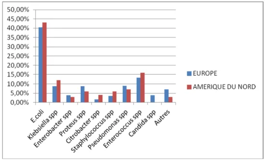 Figure 6 : Prévalences des pathogènes responsables d’infections urinaires nosocomiales 