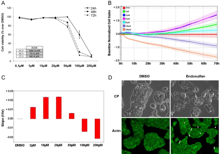 Fig. 1. Endosulfan modiﬁes the HepG2 cell morphology. (A) HepG2 cell viability was assessed by MTT test after 24 h, 48 h and 72 h treatment with increasing concentrations of endosulfan (from 0.1 ␮M to 200 ␮M)