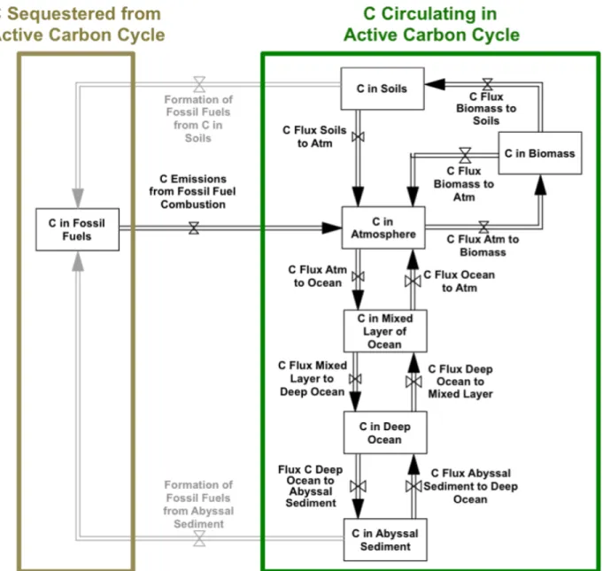 Figure 3.  Stock-flow diagram of the carbon cycle, useful after people understand the bathtub concept, to help them  expand the boundaries of their mental models to include the sources and sinks for the flows of carbon into and out of  the atmosphere