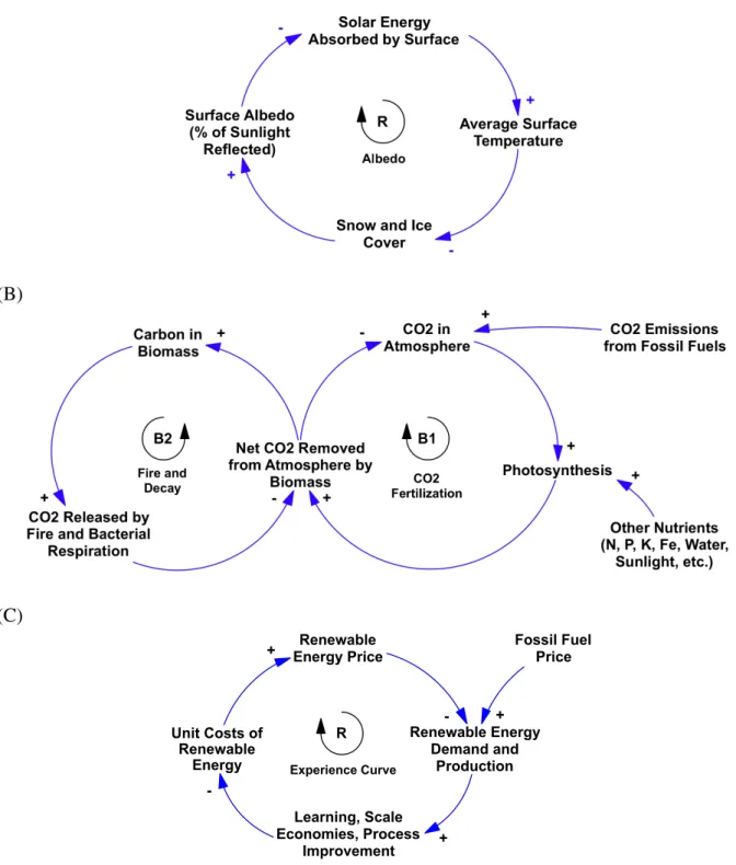 Figure 4.  Causal diagrams illustrating feedback processes.  Arrows indicate causal influence; arrow polarity, e.g., 