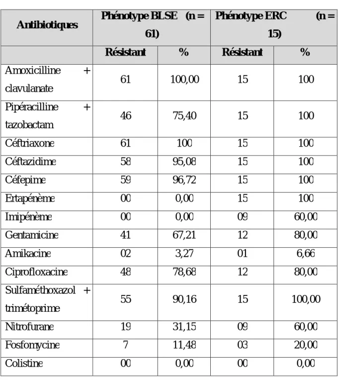Tableau XIII : Profil de résistance des Entérobactéries phénotype BLSE+ERC aux  antibiotiques