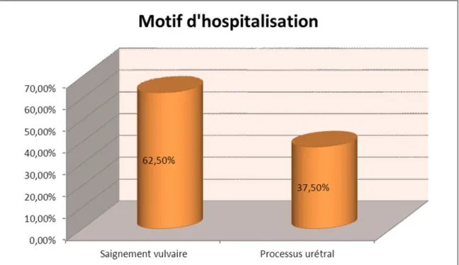 Graphique 2 : Motifs de consultation aux urgences. 