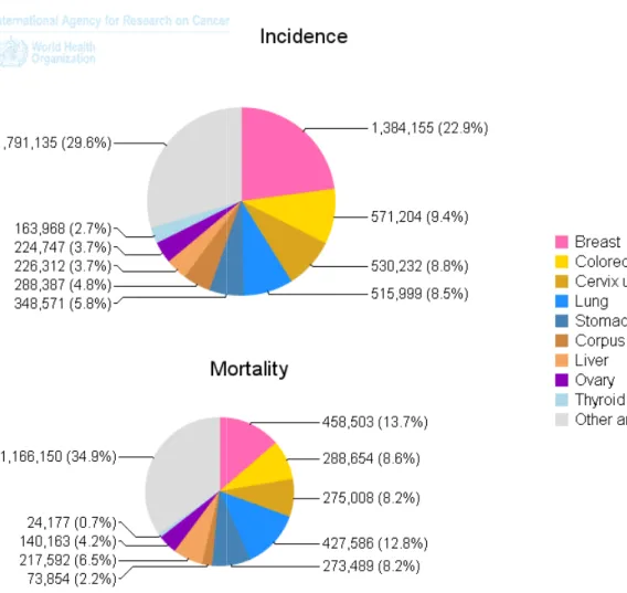 Figure 1 : incidence et mortalité des cancers du sei