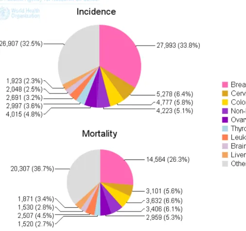 Figure 2 : Incidence et mortalité des cancers du sein chez la femme en Afrique du Nord