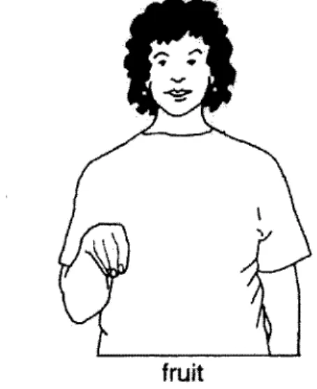 Figure  2-4:  An example  of a Paget Gorman  symbol  taken  from the PGSS  web page: