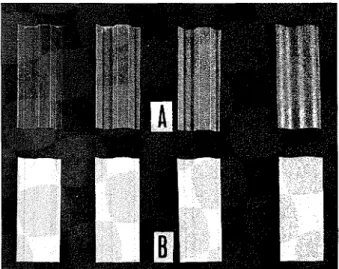 Figure  2.  PVC  plastic  sheets  of  various  colors  (from  left  layer of  a white substance visually similar t o  the  exudate 