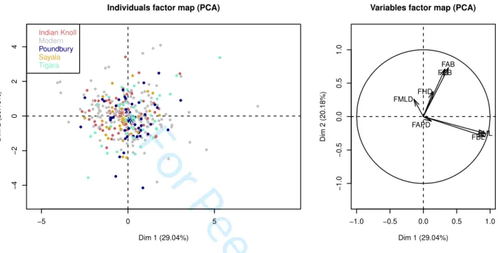 FIGURE 3 Principal component analysis on raw right-left diﬀerences of femoral measurements presented in Table 1 including the ﬁve samples under study