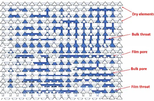 Fig. 7.  20 schematic  of the initial  water distribution in the pore network  at the beginning of drying