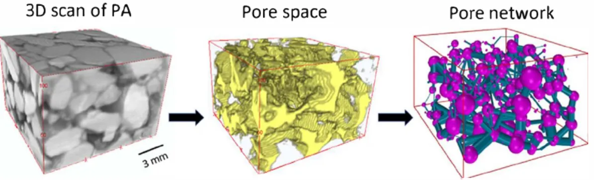 Fig. 4.  "".'orle 0ow of �he pore netwo�k extraction pr�ess. �irst, the 30 X-ray µ-CT scan is segmented to obtain the pore space