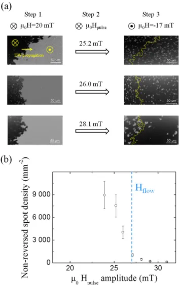 FIG. 3. Non-reversed micro-domains analysis (a) pictures on the left are the view of the non-reversed spot during DW propagation