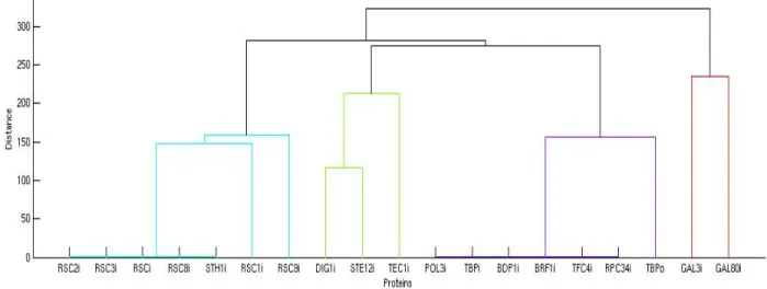 Figure 4-3: Confirmation of known biological processes and new insight using semi-supervised clustering (see text)