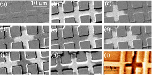 FIG. 4. (a)–(h) Kerr microscopy images of the eight possible domain patterns for the 4lm width TbCo nano-crosses.