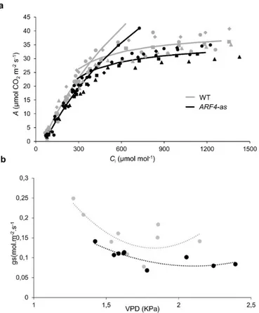 Figure 4. Net CO 2  assimilation rate (A) and stomatal conductance (g s ) in Micro-Tom (WT) and  isogenic ARF4 antisense transgenic line (ARF4-as)