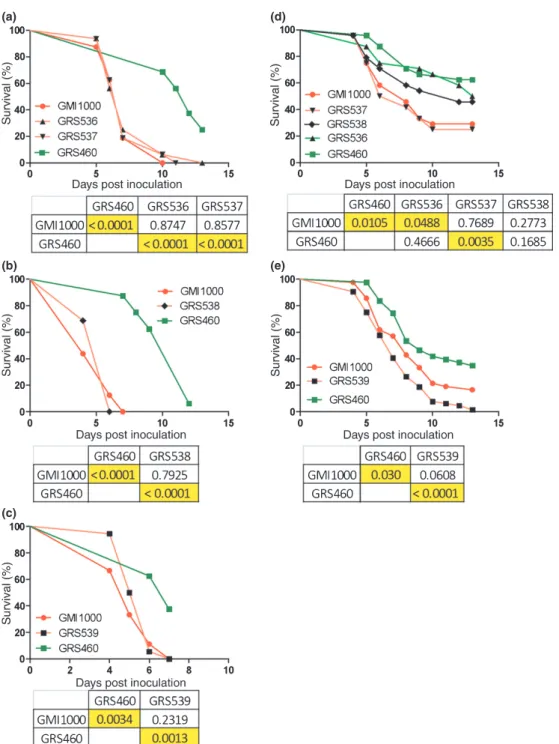 Fig. 4 Pathogenicity assays of Ralstonia solanacearum triple gala mutants on Arabidopsis thaliana and Lycopersicon esculentum (tomato).