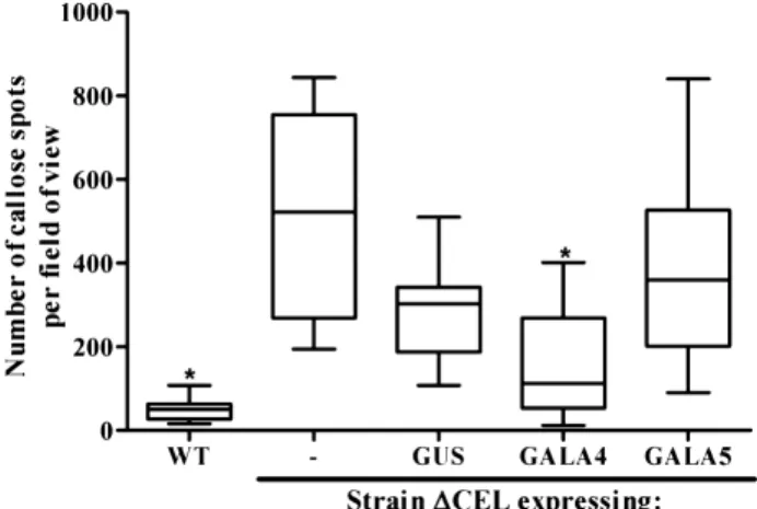 Fig. 2 GALA4 but not GALA5 can interfere with callose deposition.