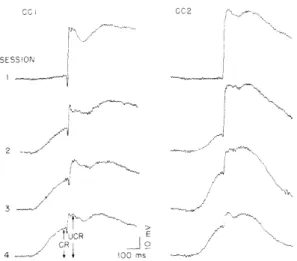 Fig.  XII-9.