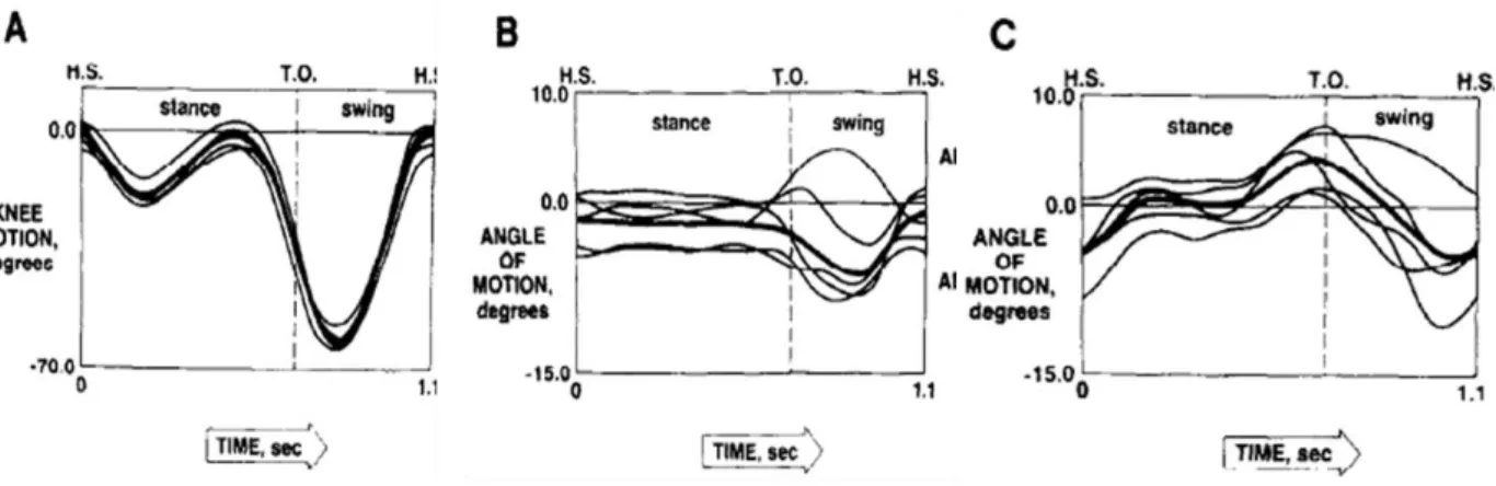 Figure 9 : Cinématique angulaire issue de Lafortune et al. - A : flexion(-)/extension(+), B :  adduction(+)/abduction(-), C : rotation interne(+)/externe(-) 