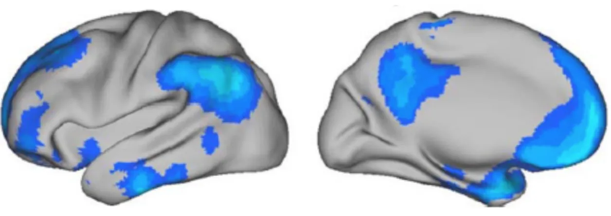 Figure   6.   Brain   Default   mode   Network.   The   brain’s   default   network   was   originally   identified    in   a   meta-­‐analysis   that   mapped   brain   regions   more   active   in   passive   as   compared   to   active    tasks    (of-­