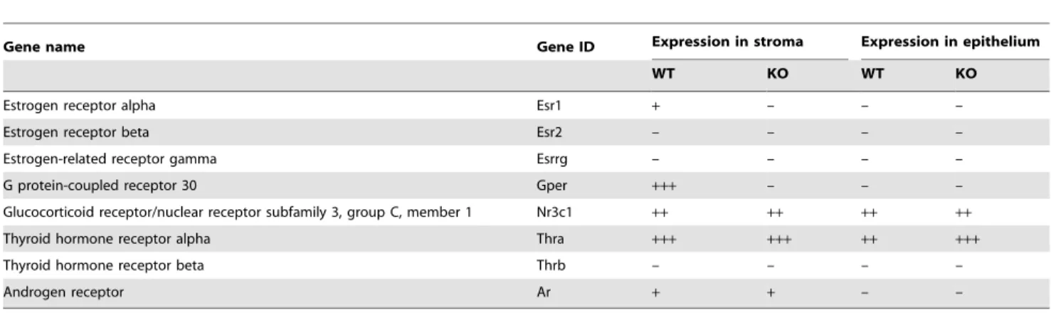 Table 5. Estrogen-regulated transcripts dependent on ERa expression.