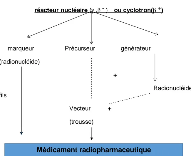 Figure 1:Genèse des médicaments radio pharmaceutiques. 4 