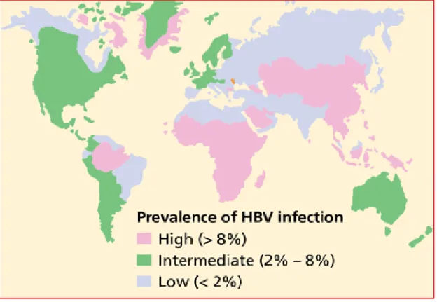 Figure 10 : Prévalence de l’infection chronique par le VHB ( Centers for  Diseases Control and Prevention, CDC 2010)