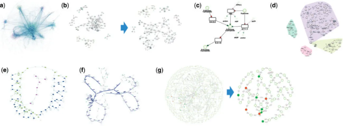 Fig. 1. Main MetExploreViz features. (a) Visualization of Recon2 human metabolic network containing 7440 reactions (Thiele et al., 2013)