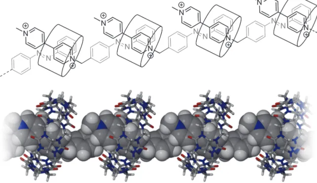 Figure 8. Schematic representation and side view of the X‐ray structure of the linear supramolecular assembly obtained from11  (Z isomer) and CB8