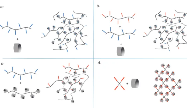 Figure 12: Four different patterns involved in the hydrogelation of CB[8]/viologen‐based supramolecular assemblies. 