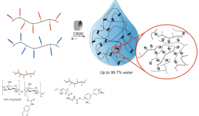 Figure 13 : Schematic representation of the 1:1:1 (CB[8]/viologen/naphtoxy) supramolecular ternary complexes yielding ultra‐