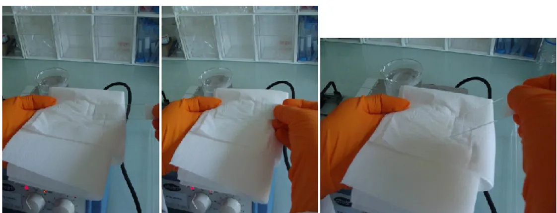 Figure  2.  Slides  coating  with  agarose.  Removing of the agarose on the back of  the slides