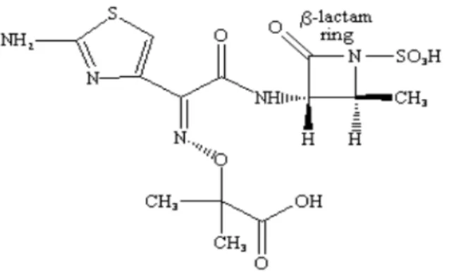 Figure 3: structure chimique de l’aztreonam 