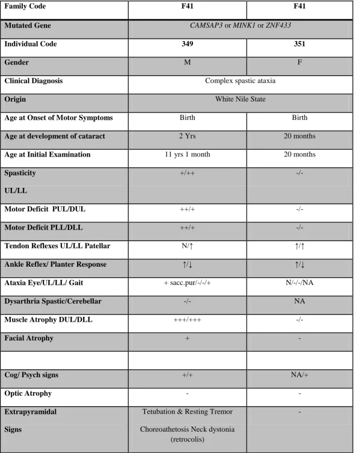 Table  (3-11):  Clinical  data  of  two  patients  from  family  F41.  UL:  upper  limbs
