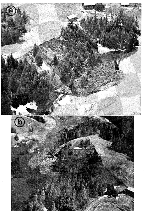 FIG. 9.  Landslide  in  Green  Creek Valley,  1971. 