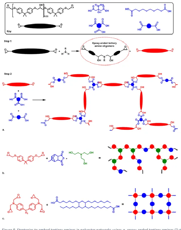 Figure 9. Strategies to embed tertiary amines in polyester networks using: a. epoxy-ended tertiary amines (2 steps), 38  b