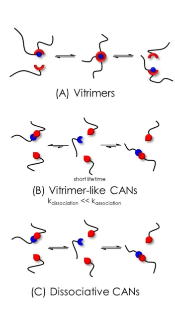 Figure  1.  Schematic  representations  of  the  mechanisms  at  work  in:  A)  associative  CANs  (vitrimers),  B)  Vitrimer-like 