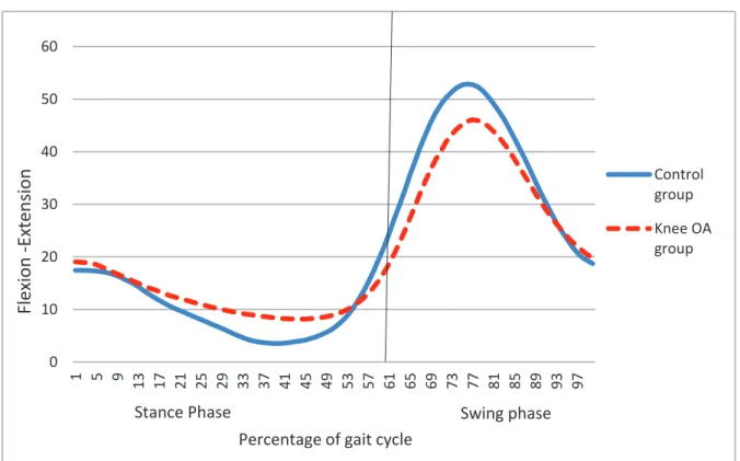 Fig 14. Flexion-Extension during gait cycle. Positive values represent flexion. 