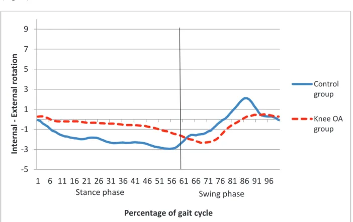 Fig. 16. External(+)/ Internal(-) rotation during gait. 
