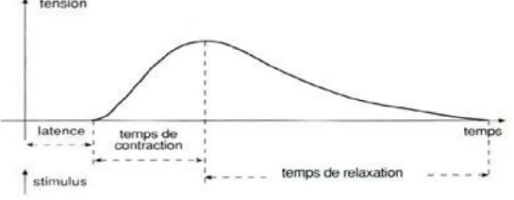 Figure 1.13: Relation tension-temps. 