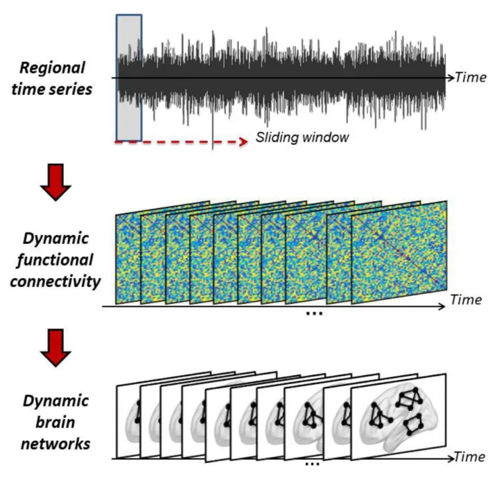 Figure 7.  The steps performed  to assess the dynamic functional conn ectivity of the regional time  series using a sliding window approach.