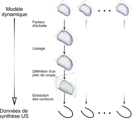 Figure 2.23 – Extraction d’une série de contours TDM correspondant au plan echocardiographique.