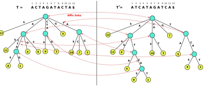Figure 1: Example of an Affix Tree, with the Suffix Tree for F O S and text T on the left, the Suffix Tree for B A S and the reverse of T on the right