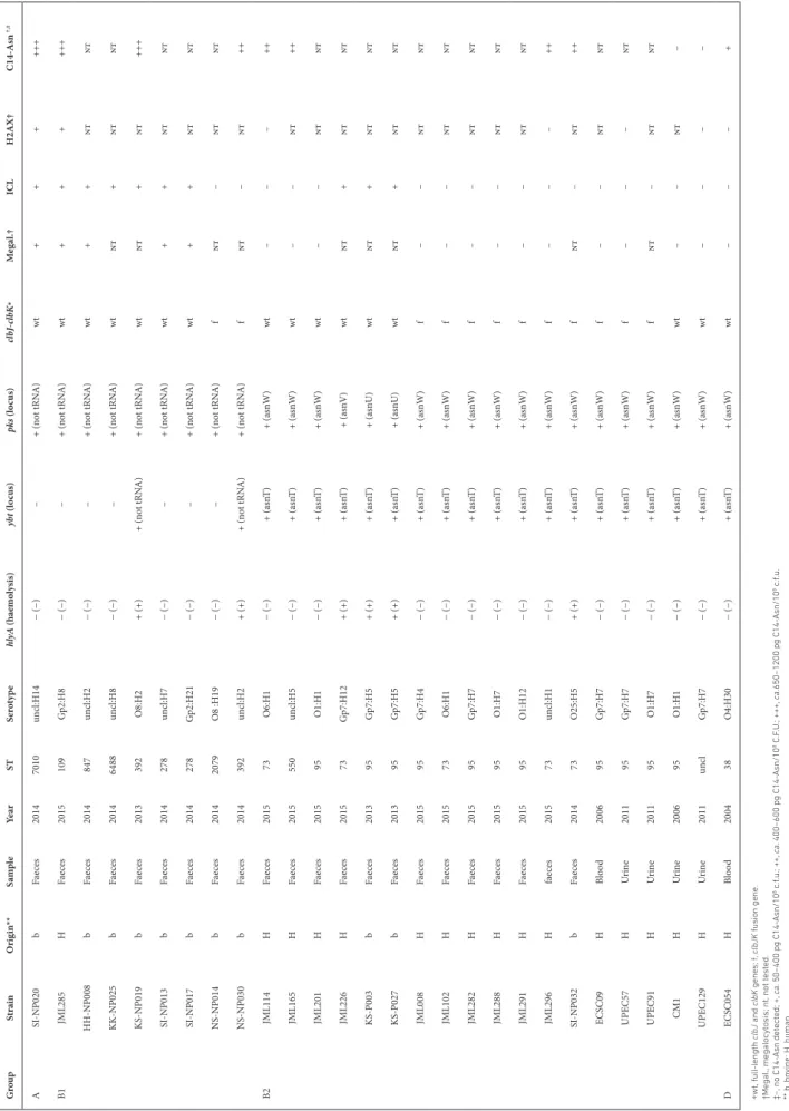 Table 3.Characteristics of B2 and non- B2 pks- positive E. coli strains with atypical features regarding pks integrity, functionality or location GroupStrainOrigin**SampleYearSTSerotypehlyA (haemolysis)ybt (locus)pks (locus)clbJ- clbK∗Megal.†ICLH2AX†C14- A