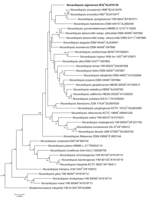 Fig. 2 Phylogenetic tree for species of the genus Nocardiopsis calculated from almost complete 16S rRNA gene sequences using Jukes and Cantor (1969) evolutionary distance methods and the neighbour-joining method of Saitou and Nei (1987).