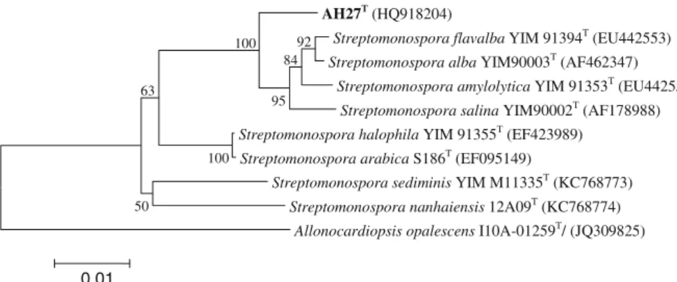 Fig. 2 Phylogenetic tree for species of the genus Streptomo- Streptomo-nospra calculated from almost complete 16S rRNA gene sequences using Jukes and Cantor (1969) evolutionary distance methods and the neighbour–joining method of Saitou and Nei (1987)