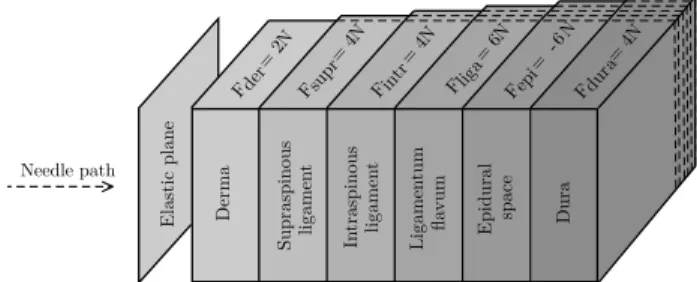 Figure 3: Diagram of the 3D model used to replicate the intervertebral space with force values of each layer from a standard case