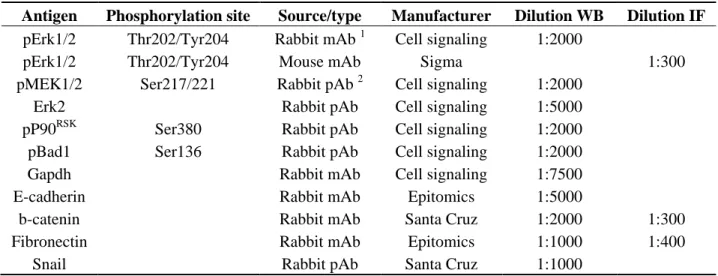 Table 1. Primary antibodies used for Western blot and Immunofluorescence staining. 